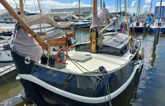 Vollenhovense Bol 9.50 Walvisch