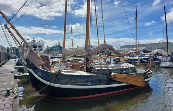 Vollenhovense Bol 9.50 Walvisch