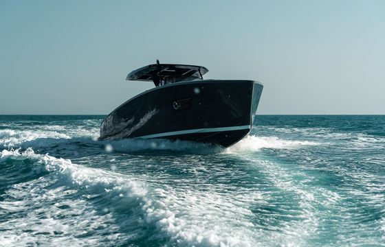 Tesoro T40 Griv 1