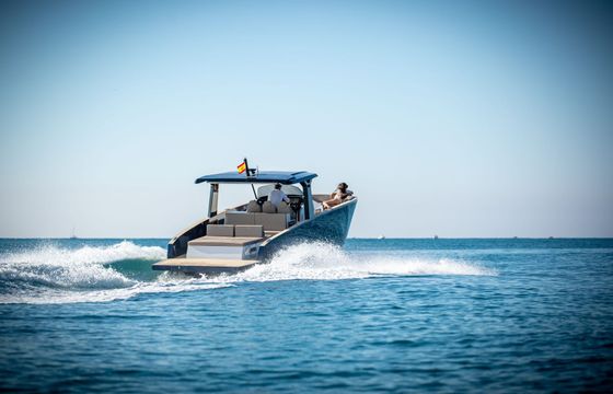 Tesoro T40 Griv 1