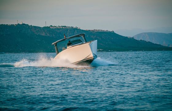 Tesoro T40 Griv 1