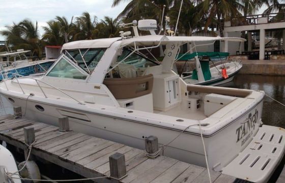Tiara 3500 Express Tango