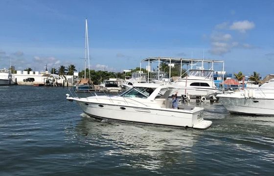 Tiara 3500 Express Tango