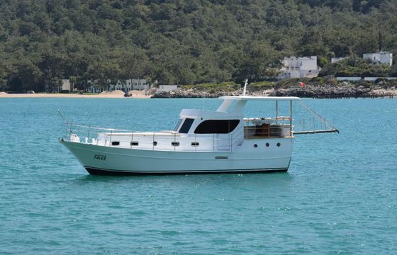 Trawler 42 Sampiyon Falez