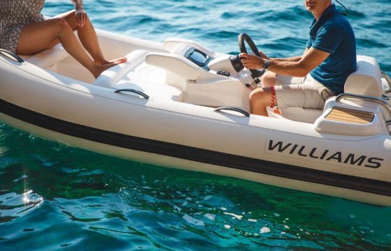 Wiliams Turbojet 325 Mini 2