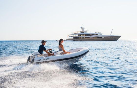 Wiliams Turbojet 325 Mini 2