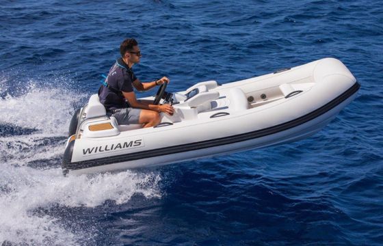 Wiliams Turbojet 325 Mini 2