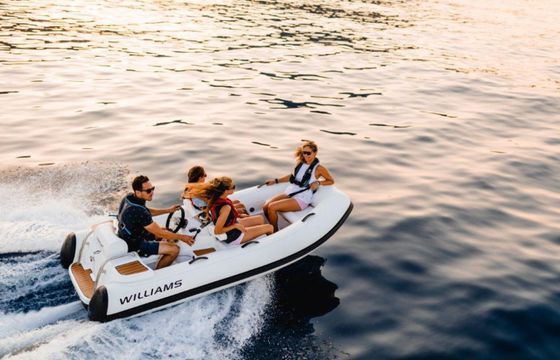 Wiliams Turbojet 325 Mini 2