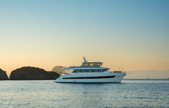 Trawler 24 Alessandro