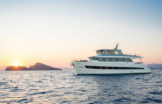 Trawler 24 Alessandro