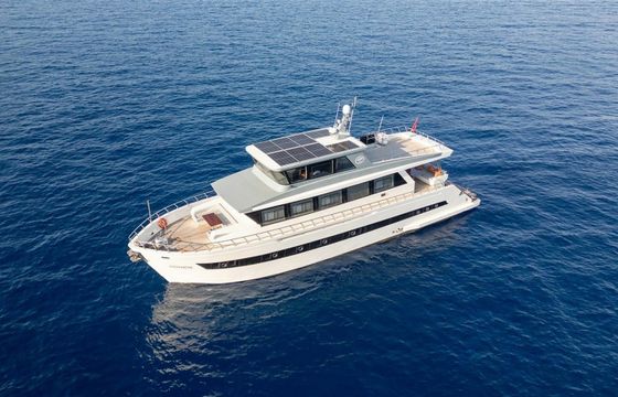 Trawler 24 Alessandro