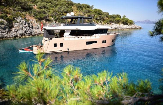 Trawler 24 Compass