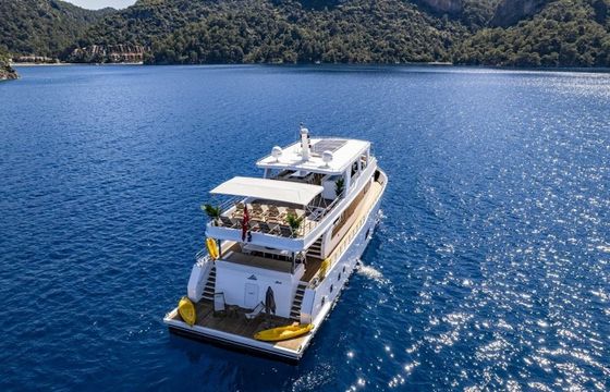 Trawler 85 Lila