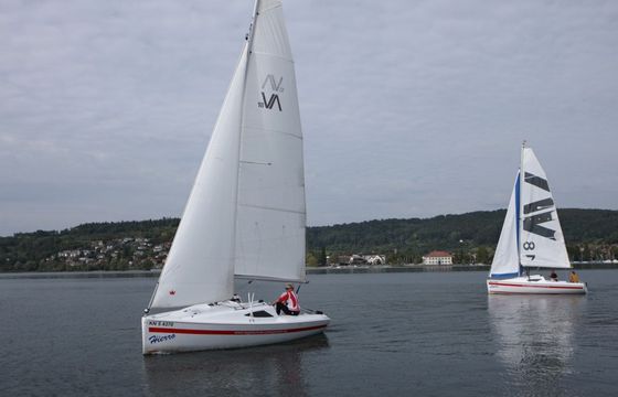 Varianta 18 Calypso