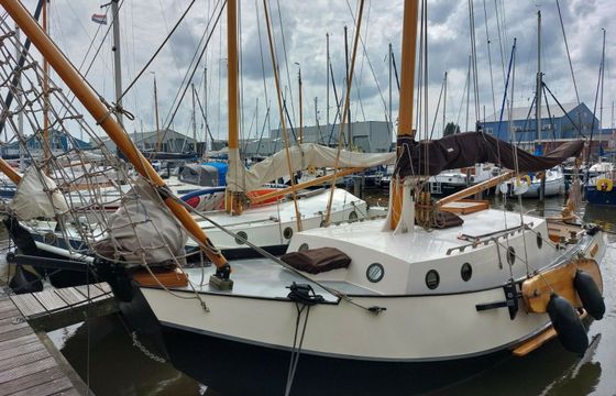 Zeeuwse Schouw Huitema Dolfjin