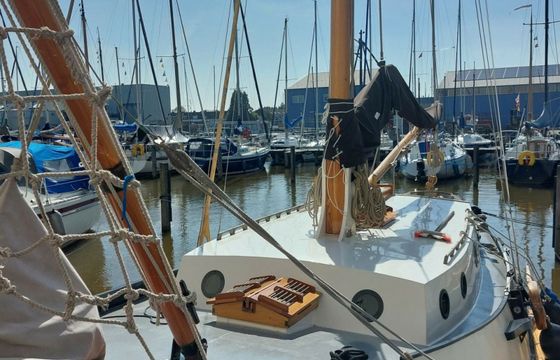 Zeeuwse Schouw Huitema Dolfjin