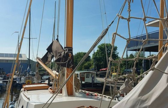 Zeeuwse Schouw Huitema Dolfjin