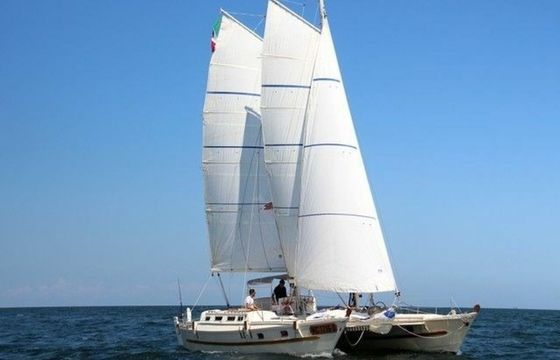 Wharram Tiki 38 Festina Lente