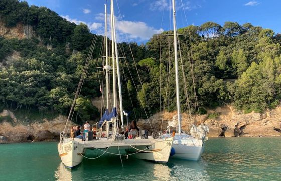Wharram Tiki 38 Festina Lente