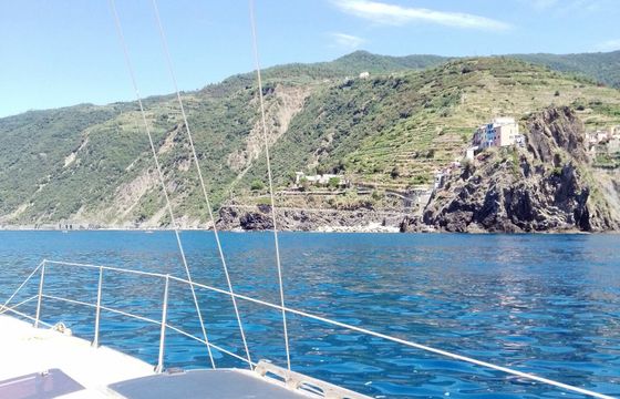 Wharram Tiki 38 Festina Lente