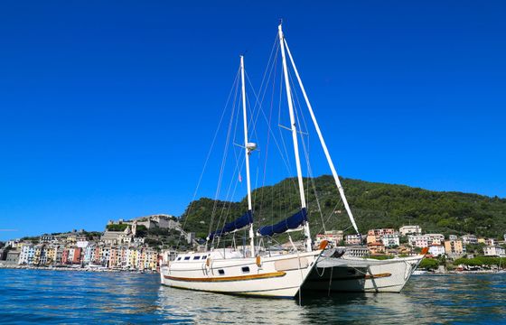 Wharram Tiki 38 Festina Lente