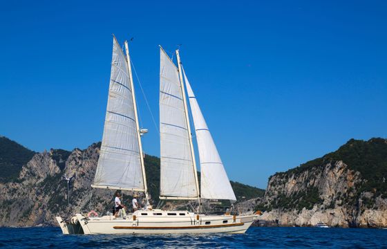 Wharram Tiki 38 Festina Lente