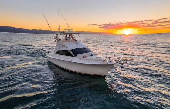 Viking 40 Reel Dreams