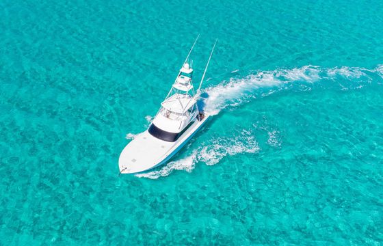 Viking 58 Big Fish 2