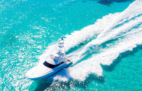 Viking 58 Big Fish 2