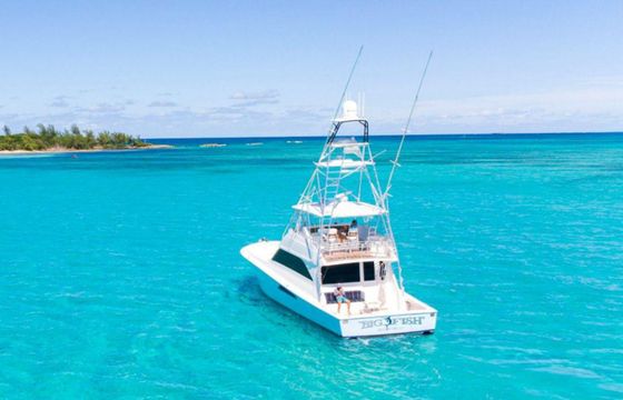 Viking 58 Big Fish 2