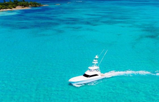 Viking 58 Big Fish 2