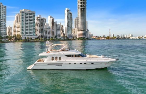 Viking 70 Ilperseverante