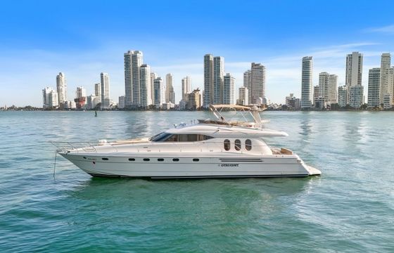 Viking 70 Ilperseverante