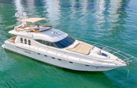 Viking 70 Ilperseverante