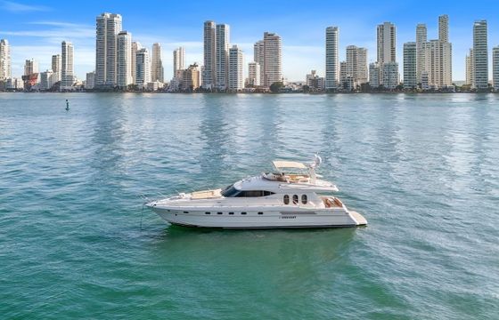 Viking 70 Ilperseverante