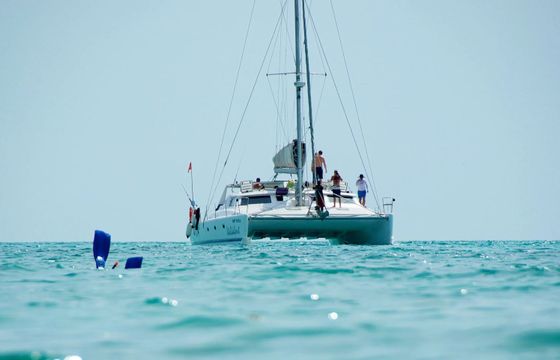 Voyage 500 Walkabout