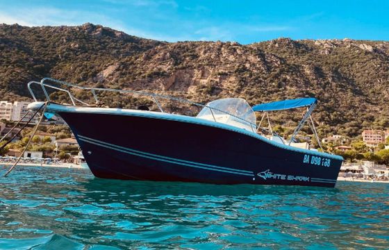White Shark 245 09