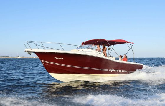 White Shark 298 Pitu
