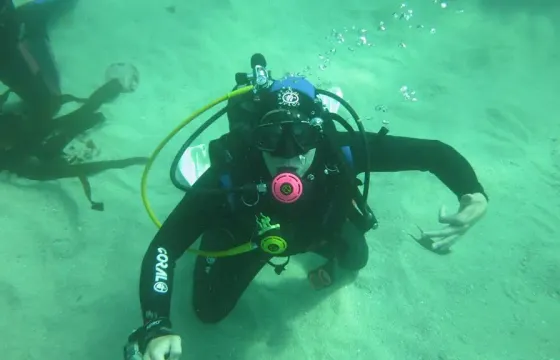 A maximum fun and safety Diving Trip In Cape Town, South Africa