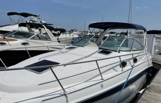 Luxury Cruising on Lake Michigan aboard 32' Chaparral Signature Yacht