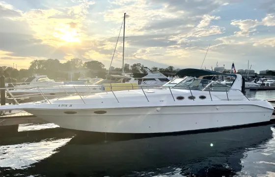 44' Sea Ray Express Luxury Motor Yacht in Chicago with USCG Captain