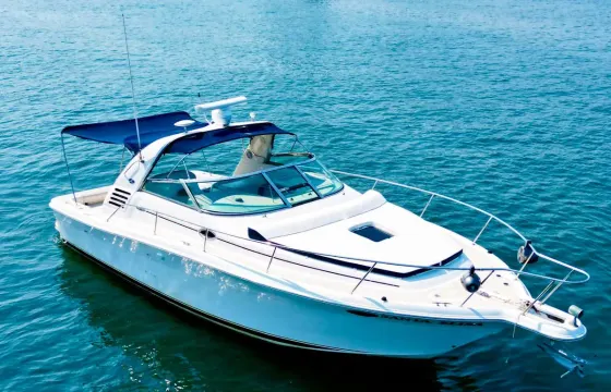 Lovely Sea Ray 36' Private Boat in Puerto Vallarta, Mexico
