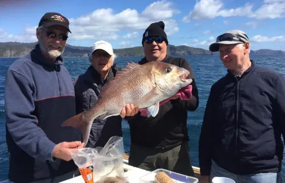 30ft Dickey 850 Sports Fishing Charter in Whangaroa, New Zealand