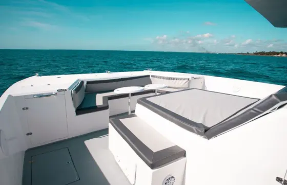 45' Power Catamaran in Casa de Campo, La Romana