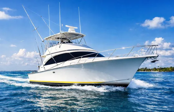 Exclusive Deep Sea Fishing Trip In Punta Cana | 42' Sportfishing Yacht