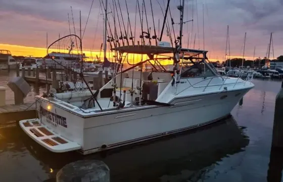 Lake Michigan Fishing Charters and Cruises on 36' Tiara Yacht