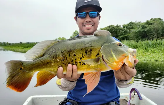 Peacock Bass Fishing Guide In Kuala Lumpur With Up To 2 People