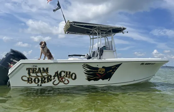 23ft Sailfish 236 CC Center Console Charter in St. Petersburg, Florida