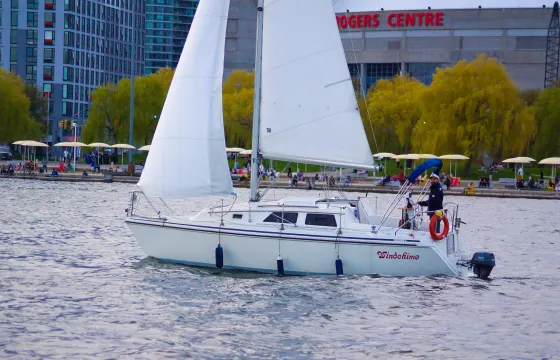 Sail in downtown Toronto