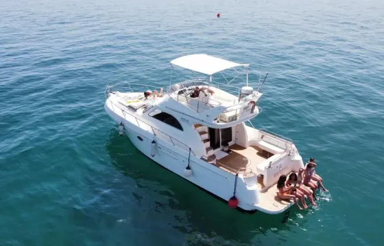 Astinor Yacht in Marbella for Scenic Trip and Sighting Dolphins!